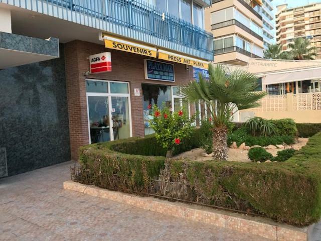 Benidorm 1ª línea playa Levante, garage, wifi, climatización Exterior foto